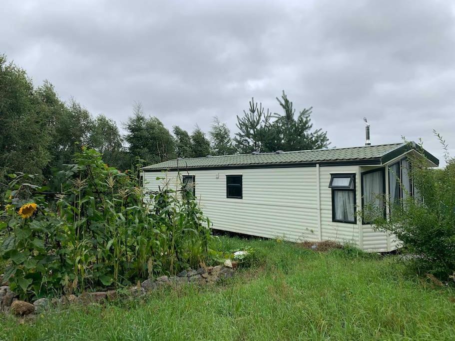 Domek Holenderski Jasnotka Golubie Exteriér fotografie