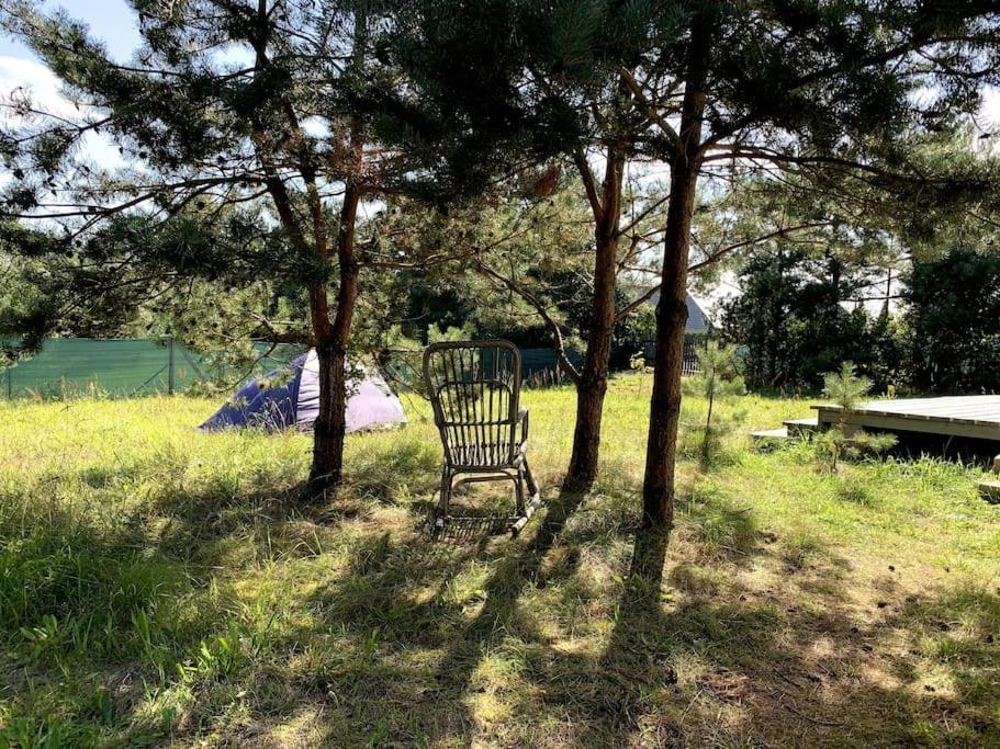 Domek Holenderski Jasnotka Golubie Exteriér fotografie